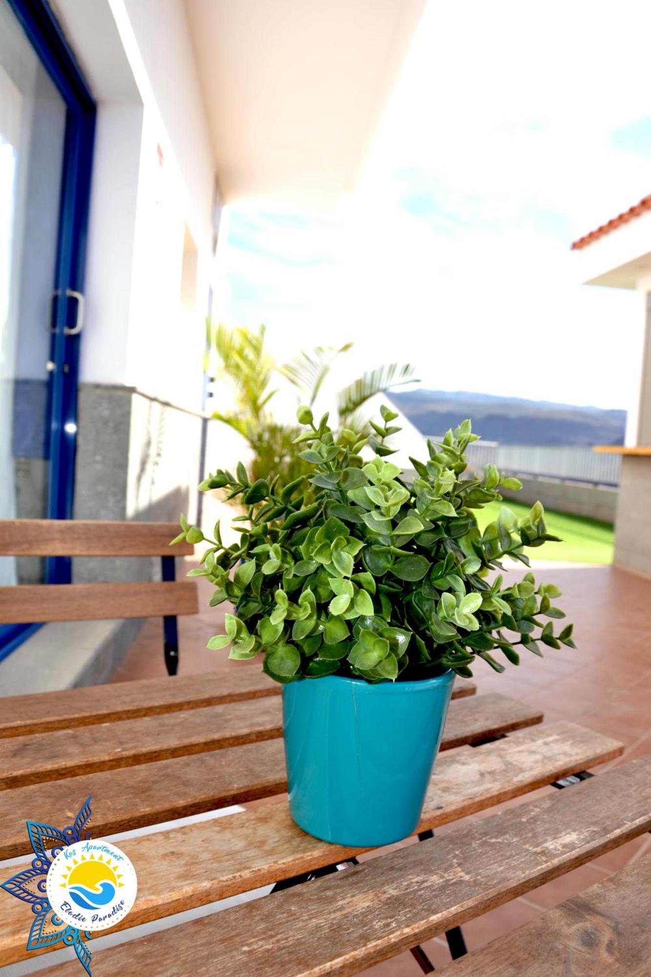 Kos Apartment - Elodie Paradise Mogán Εξωτερικό φωτογραφία